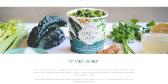 Meredith Compton Web Design & Development